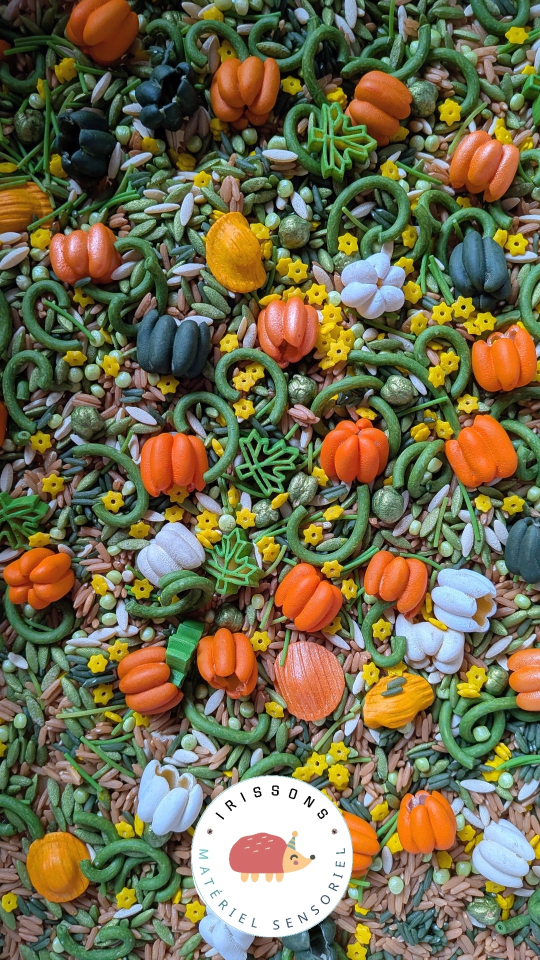 Cycle des Citrouilles