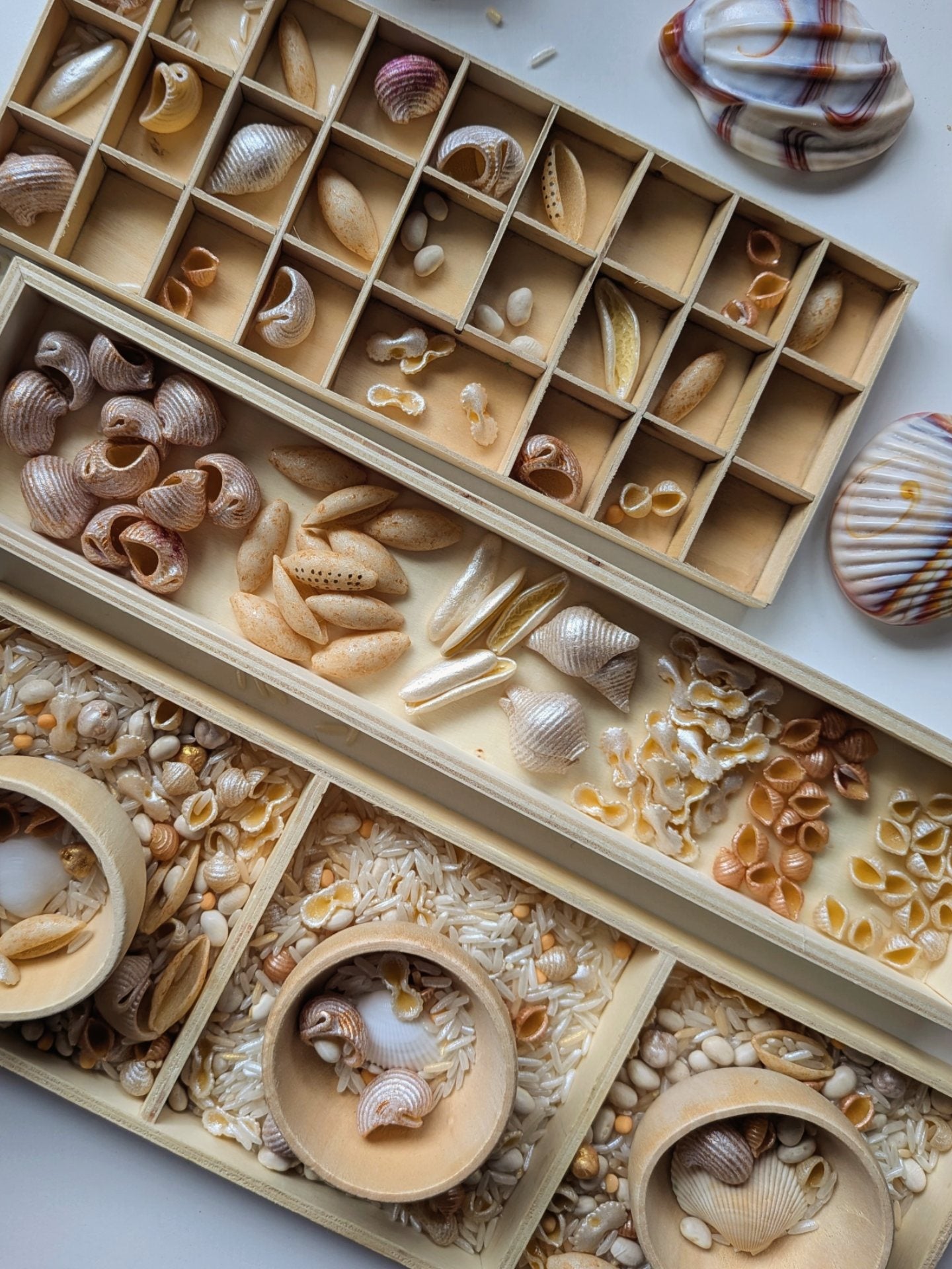 Cap Nacré 🐚