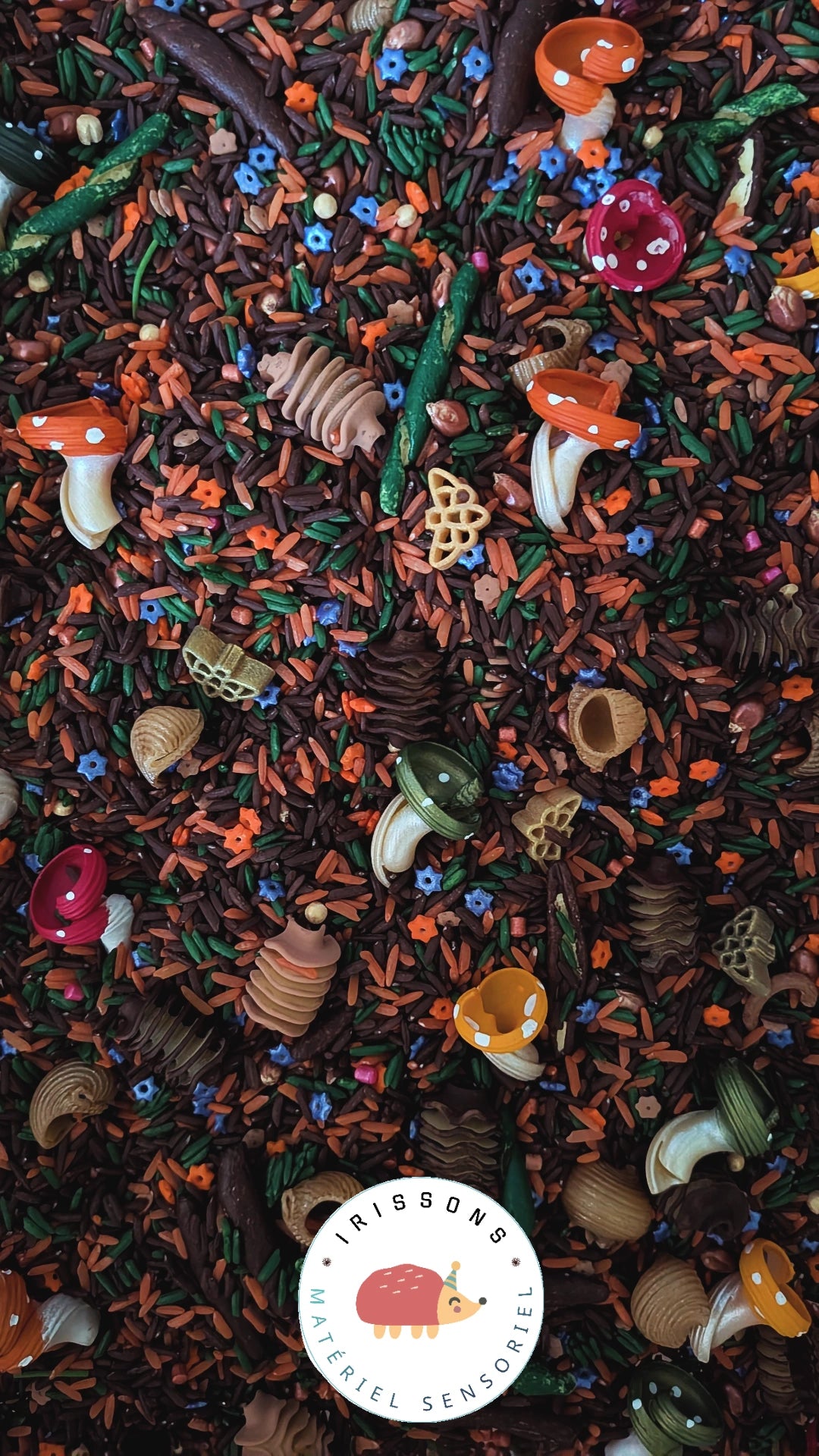 Sous-Bois d’Automne